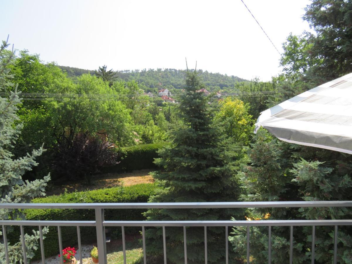 Art Inn Apartmanhaz Balaton-เจเนชดิแอช ภายนอก รูปภาพ