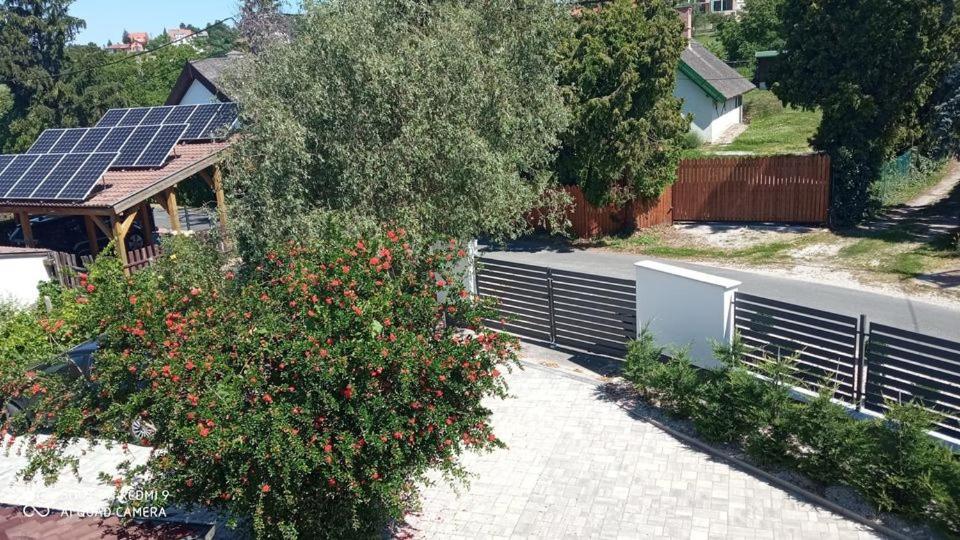 Art Inn Apartmanhaz Balaton-เจเนชดิแอช ภายนอก รูปภาพ